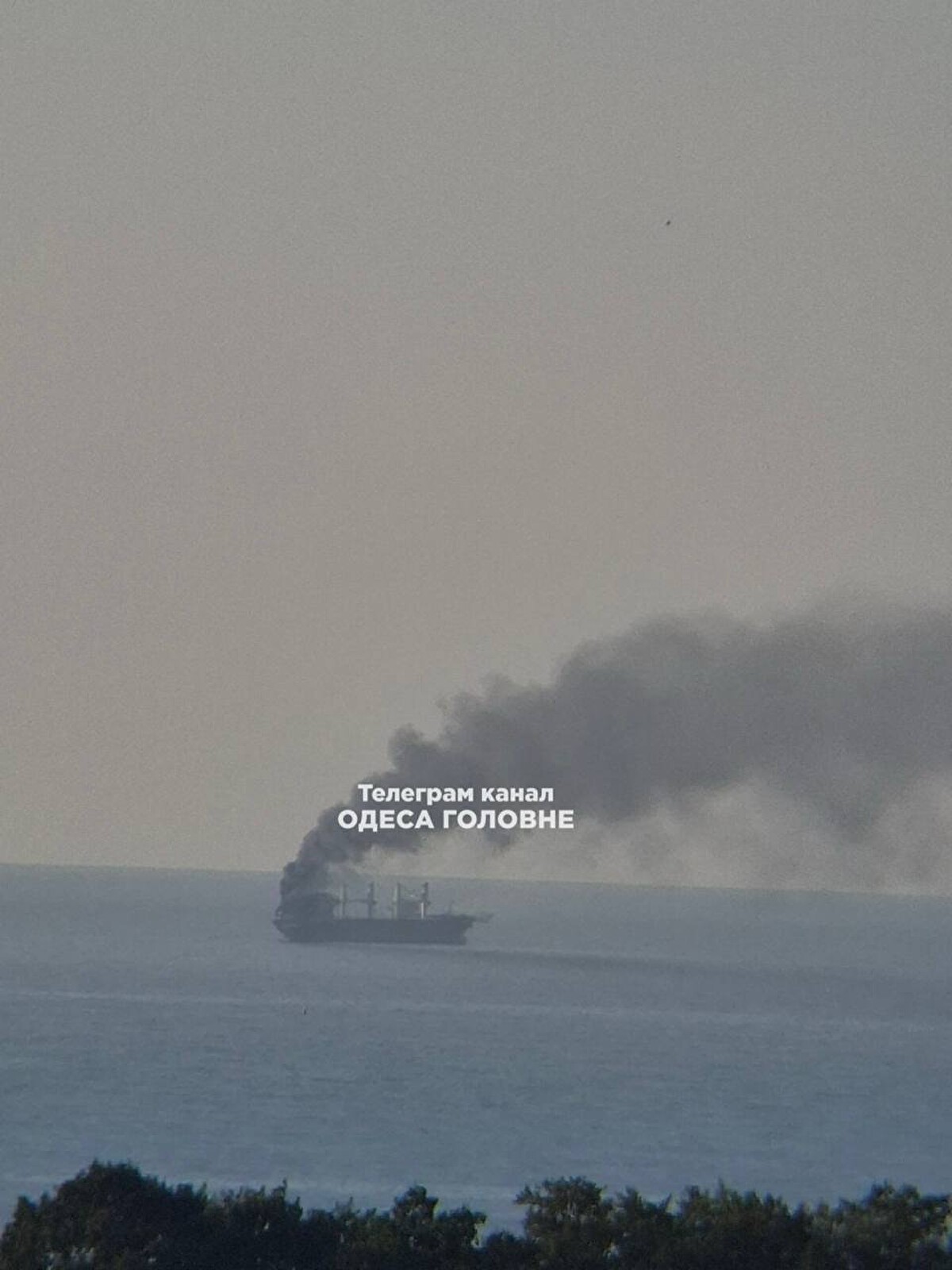 w44l00kzlv_big.jpg